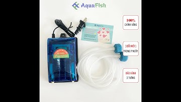 Máy Sủi Khí Oxy 2 Vòi RS 348A tặng kèm 2 bộ dây quả sủi