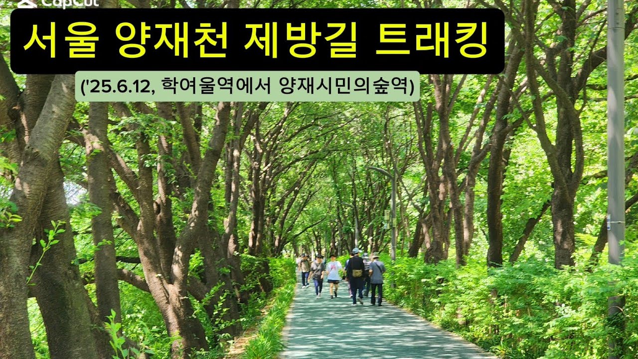 서울 양재천 제방길 트래킹 ('25.6.12)