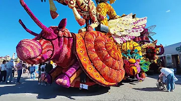 Flower Parade (Bloemencorso) In Zundert, Netherlands||September 2025
