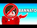QUESTO SERVER MINECRAFT sta CERCANDO di BANNARMI...