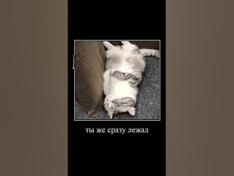 #комару - YouTube