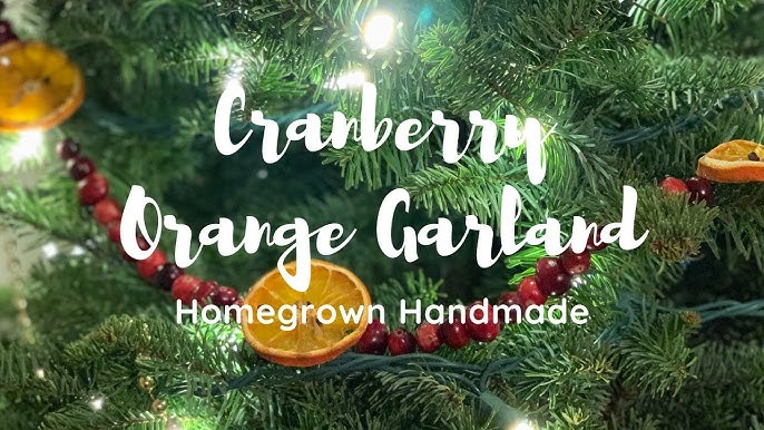 How to Make a Cranberry Garland 