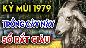Kỷ Mùi 1979 Khổ Đến Mấy Trồng Cây Này Sẽ Hút Tài Lộc Vào Nhà, Tiền Bạc Ùn Ùn Kéo Đến.