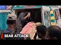 Poonch: 40-Yr-Old Man Seriously Injured in Bear Attack