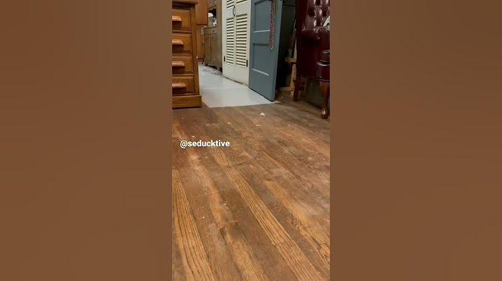 Duck Running (viral tiktok)