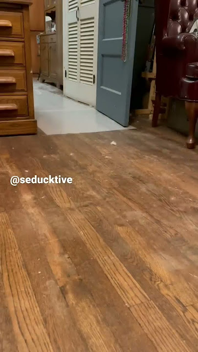 Duck Running (viral tiktok)