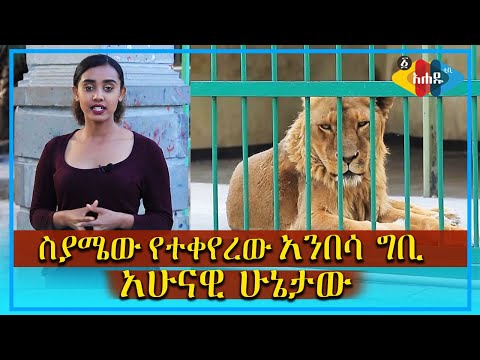 ቪዲዮ: የሰው ህይወት ዋጋ ስንት ነው? የሕይወት ኢንሹራንስ