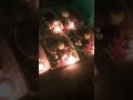 #music #chhathpuja#viralvideo#love ##reels #viral #ytstudoy #offical Prachi vlogs