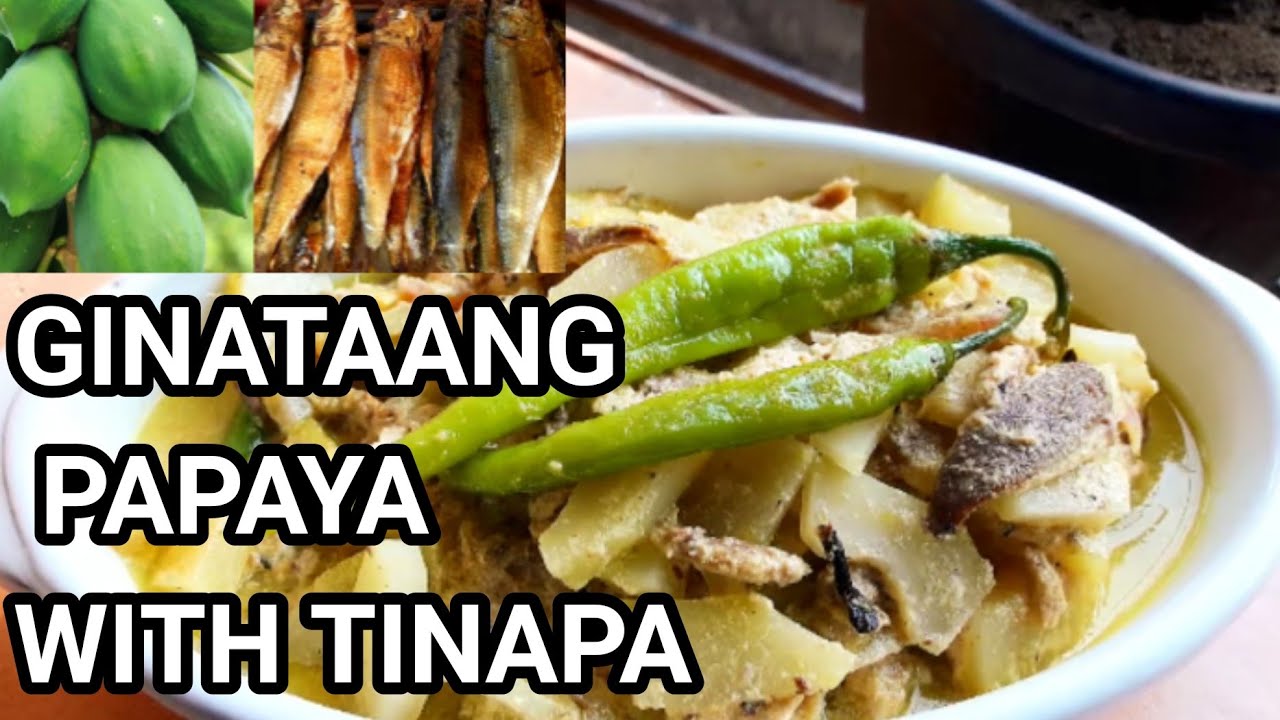 Ginataang Papaya with Tinapa Papaya with smoked fish in coconut milk YouTube