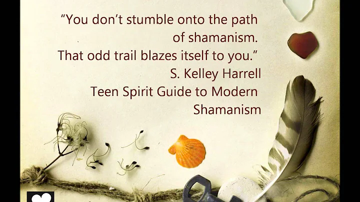 Teen Spirit Guide to Modern Shamanism by S. Kelley...