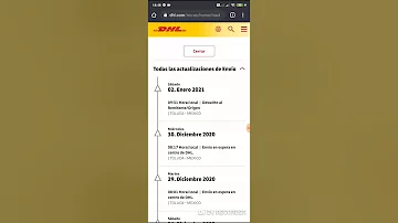 ¿Quién entrega DHL en EE.UU.?