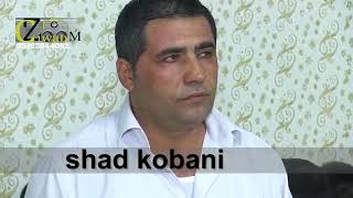 شاد كوباني