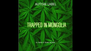 lil wlodek & young tadek - mongolia intro by AL LABEL  152 views 1 year ago 1 minute, 53 seconds
