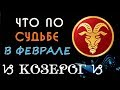 КОЗЕРОГ что по СУДЬБЕ в ФЕВРАЛЕ 2019 года Гороскоп на картах Таро