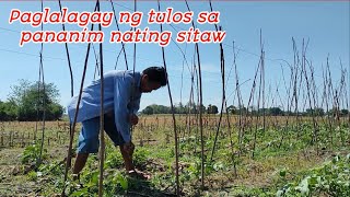 PAGLALAGAY NG TULOS SA PANANIM NATING SITAW