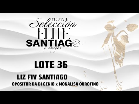 Lote 36   Liz FIV Santiago