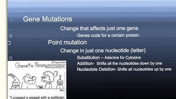 explain everything demo