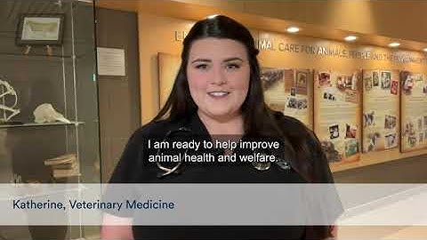 The class of 2024 is ready to make an impact