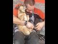 Dogs Drama at Saloon #adorably #viral #pets #funnydog #funny #entertaininganimals #dog