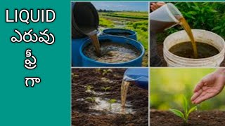 265. How To Make Powerful Fertilizer For FREE!