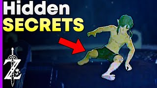 Things You May Have Missed in the Shrine of Resurrection (Breath of the Wild Theory)