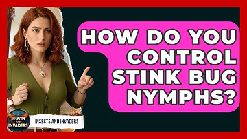 How Do You Control Stink Bug Nymphs? - Insects and Invaders