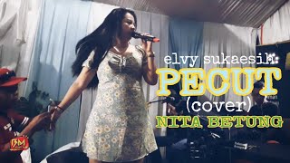 Pecut - Elvy Sukaesih (cover) Nita Betung | Elbamas Group