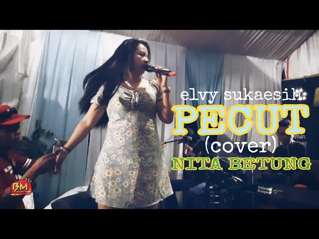 Pecut - Elvy Sukaesih (cover) Nita Betung | Elbamas Group class=