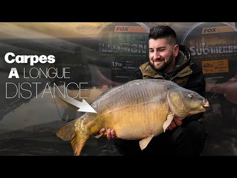 Carpes à longue distance - Julien Filleul