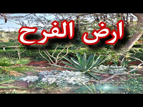 كنيسة القيامة فى مصر لو متضايق تعالى ارض الفرح على قناة ربنا موجود