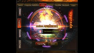 how to learn play anima to win #5