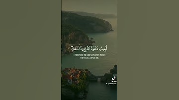 #القران_الكريم القارئ حكيم عرابي