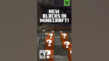 NEW BLOCKS IN MINECRAFT! TRY IT NOW!