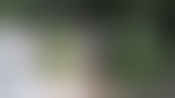 Best Fails of the Week 3 November 2012 || FailArmy part 3