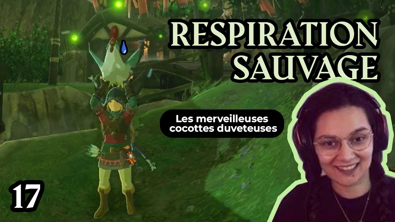 17 des cocottes duveteuses et des lucioles - Zelda Breath of The Wild