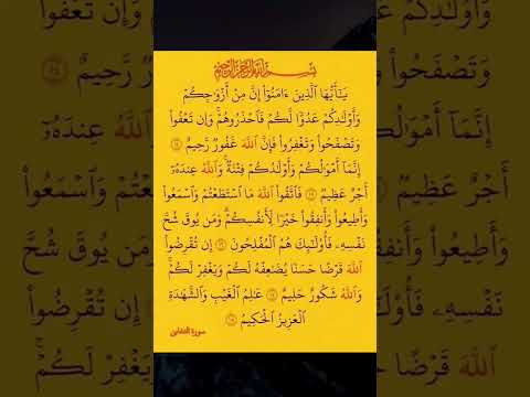 يا أيها الذين أمنوا إن من ازواجكم وأولادكم عدوا لكم التغابن