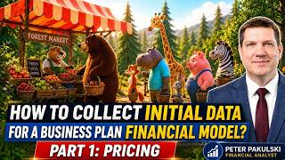 How to Collect Initial Data for a Business Plan Financial Model? Part 1: Pricing.