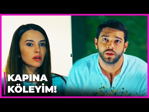 Sinan, Pelin'in Kapısında Af Dilendi! | Tatlı İntikam 14. Bölüm