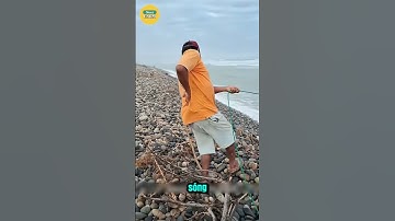 Bí Mật Kéo Lưới Ven Bờ Bắt Được Cả Tấn Cá!