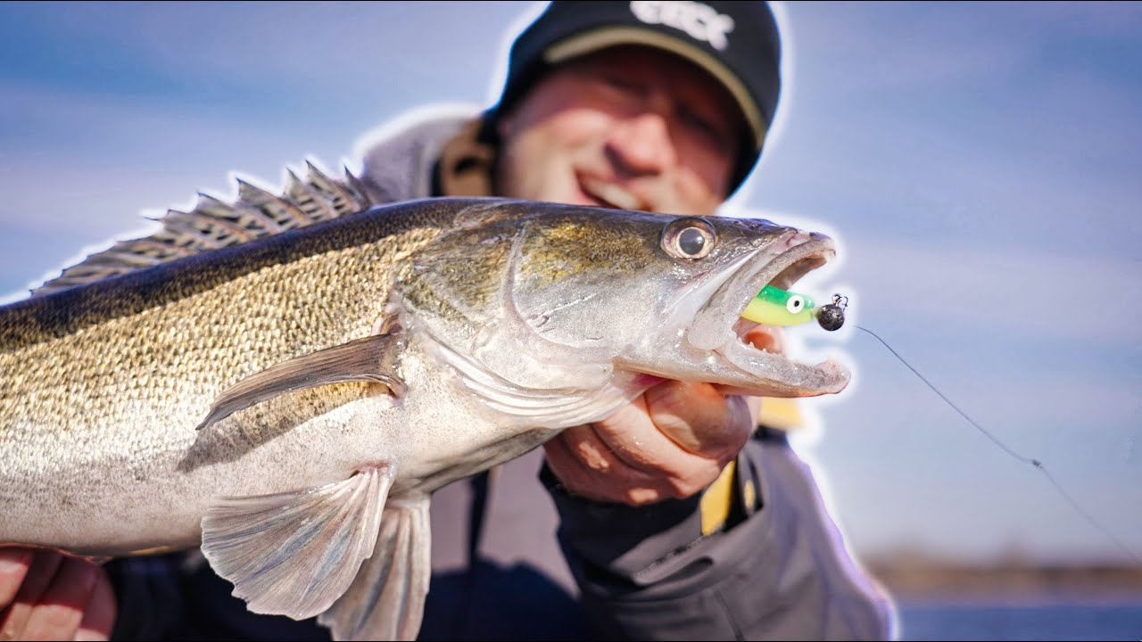 Winter Zander | Spots & Köder vom Raubfisch Guide
