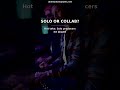 Solo or Collab? The Producer's Dilemma