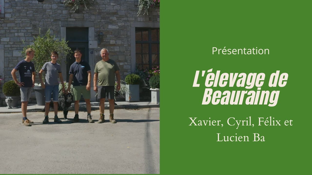 pr-sentation-l-levage-de-beauraing-youtube
