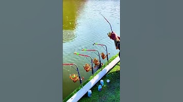 Cần câu máy tự động, câu lăng xê săn hàng chép trắm đen đến 20kg #fishing #fishinglure #shorts