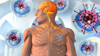 Immediate BRAIN Repair 🧠 Your Body Will Have Clear Changes, Full Body Massage (432Hz+528Hz)