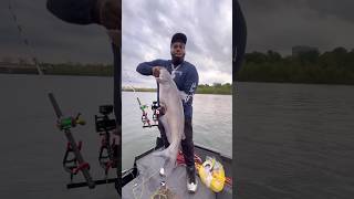 Secret Bait catches a Big Fish