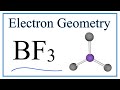 BF3 Molecular Geometry and Electron Geometry