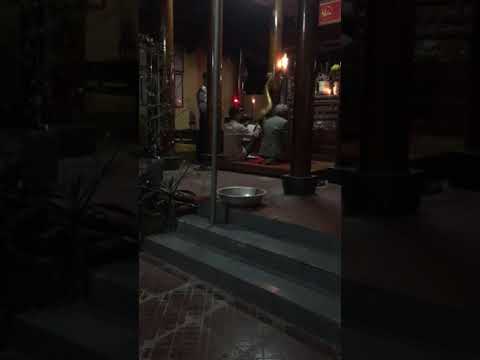 Video Tế tổ 09/01/2021 dòng họ Nguyễn Văn - Thanh Chi -... - youtube