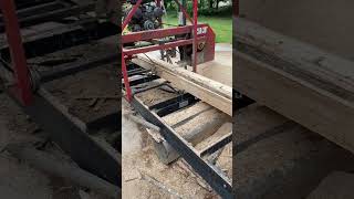 Hud-son Oscar 36” in action #tree #husqvarna #stihl #sawmill #hud-son