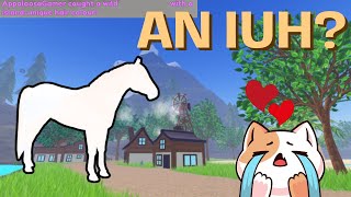 I CAUGHT AN IUH HORSE WHILST HUNTING FOR EVENTS! | Wild Horse Islands