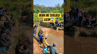 Semua Bingung Ikan Ini Terlalu Licin Ditangkap